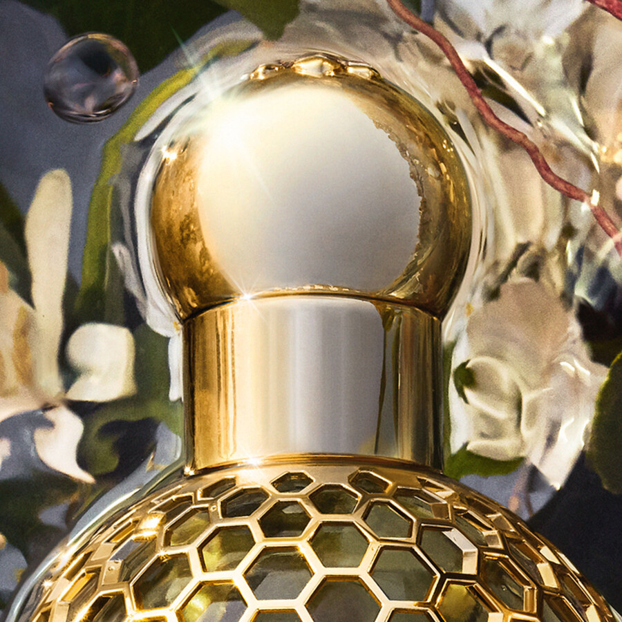 aqua allegoria ⋅ nerolia vetiver forte - eau de parfum ⋅ guerlain